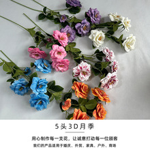 ¿5^3D¼õ廨 õٻ׿͏db[Ŕ[