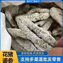 厂家批发海味干货足干6-8头小花猪婆参海参 厚肉囗感胶质好