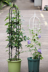 Climbing Trellis U-shaped Flower Support Garden Vine Plant Stand Rose Trellis Dropshipping Wholesale Discount