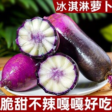 冰淇淋水果萝卜冰激凌红冰糖心甜脆水果型非凤梨潍坊青萝卜散装