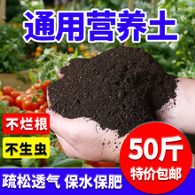 营养土养花通用型种菜专用种花土壤多肉家用盆栽种植花土发酵疏松