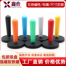 �S�F�����Ű��z���P���ֱ�܇���NĤ�����������P���z���F�̶���