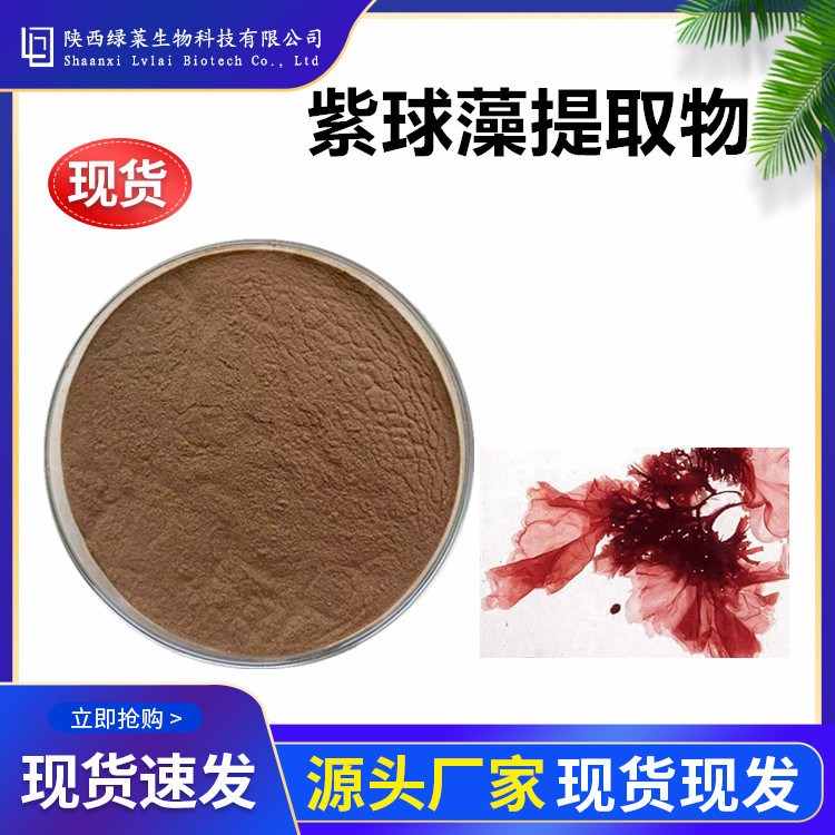 紫球藻提取物10：1  紫球藻粉 生粉浸膏 绿莱直发现货SC认证