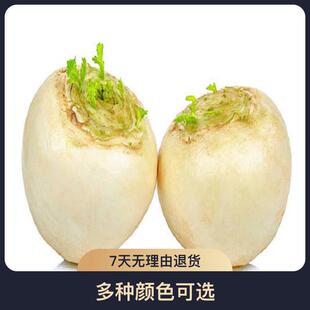�A���}���N�ӷNֲ���N����피t�N�����{�ݰٺϷN��������N�ӷN��