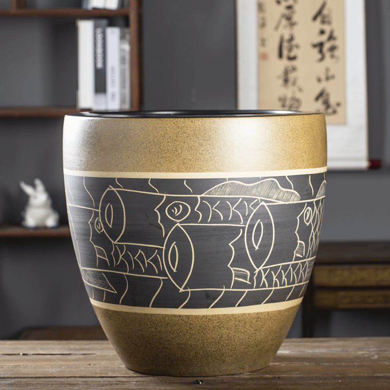 큰 잉어 직경 55