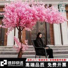 ����ѻ��S�ٻ�����҃ȾW�tֲ�����Դ��ͼҾ��b͏d�[����