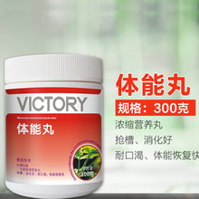 �w����300��/ƿ ِ��������ِِ��֏��w�܌���Ʒ