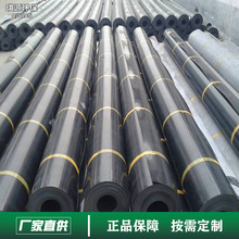 HDPE复合土工膜琪源防水土工布垃圾场防渗膜鱼塘养殖膜沼气池黑膜