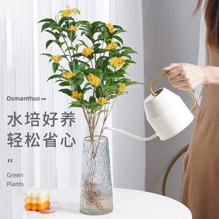 ��ˮ��ֲ�������҃ȾGֲ�����ļ����_�����B�͏d�k���ҝ����ͻ�