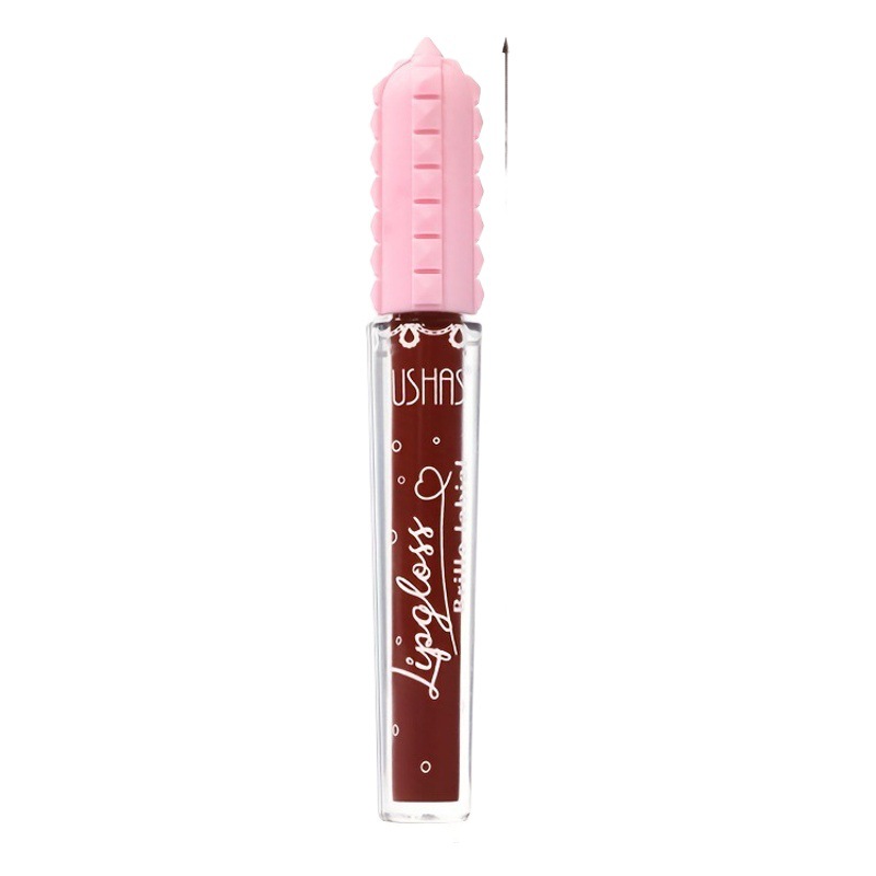 USHAS Amazon 6 colores líquidos transfronterizos lápiz labial esmalte de labios, lápiz labial de mujer, lápiz labial sin taza de lápiz labial mate