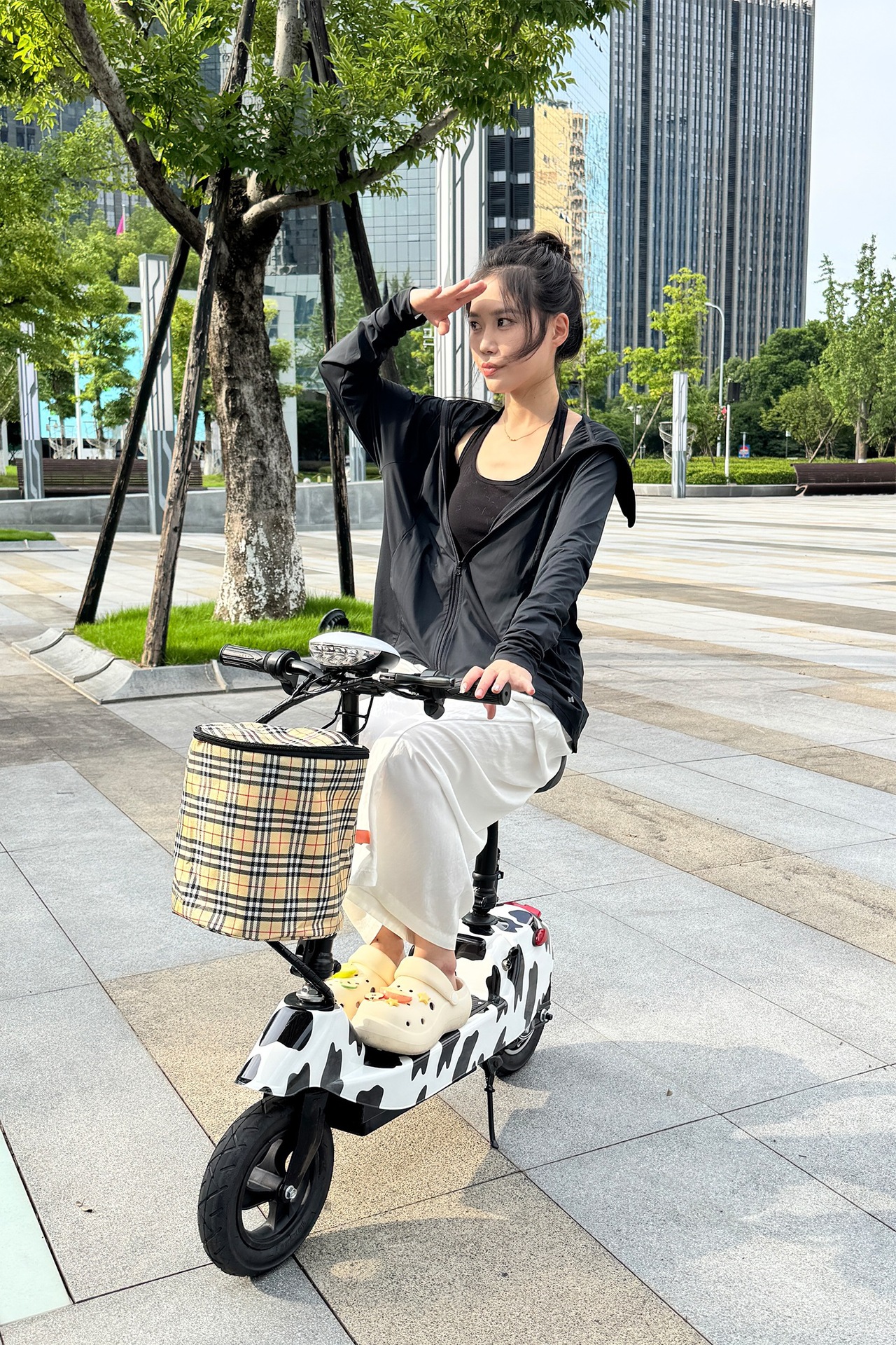 Suitable for Electric Scooters, Adult Work Scooters, Mini Electric Scooters for Girls, Foldable Dolphin Batteries