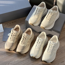 ¿ϵЬWԭ؛|ݸQƤ\ЬŮЬ