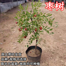 ����������Ա��Ǘ�մ������������ϱ�������ͥԺ�Nֲ����Y��