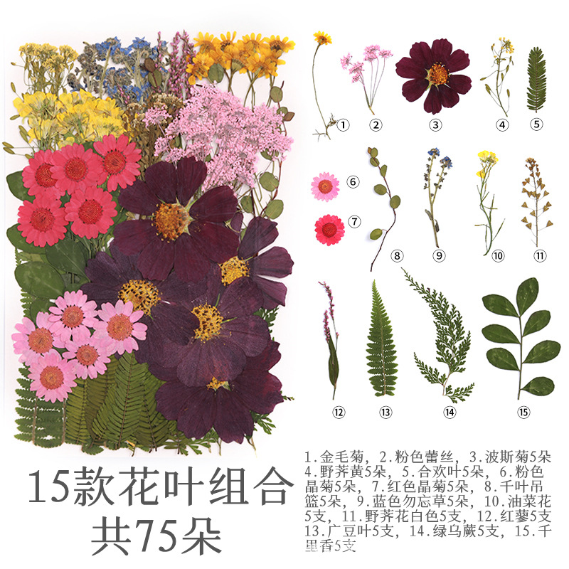 75 꽃과 잎 조합