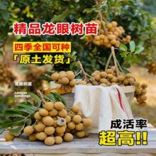 ���ۘ��m�޽�����ˮ�����箔��Y���������Aʯ���Ϸ��ļ��Nֲ����