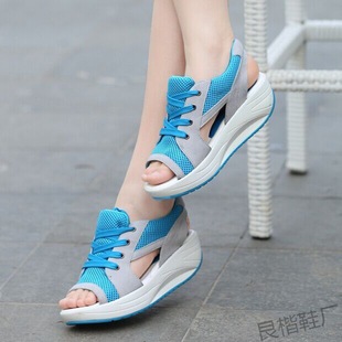 �x����S2023�¿��ɸ�כ�Ь����¸�͸��u�uЬŮ�W��Ь���m�\��