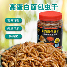 ����x���r���~�ɲ����������{�����X��ʳ�����~�^�p�~�}��ͨ�üZ