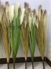 ��Ʒ�JȔ���Ըɻ��ٻ�����s�Z���߹�β��ˮ���b���ؾGֲ��