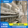 岳阳湖南养殖清粪蛋鸭