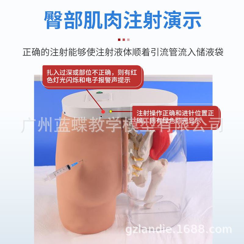 �β�����ע��͸���Ա�ģ��͸����Ѫ�����մ�����̵ƹⱨ��ϵͳ