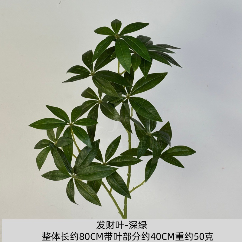 행운의 잎