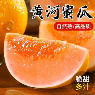 �S����������rˮ��������������]ɳĮ����Ϲ��ܹϽ����