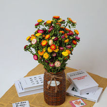 云南真花干花小雏菊干花花束客厅卧室摆设装饰插花花瓶懒人干花