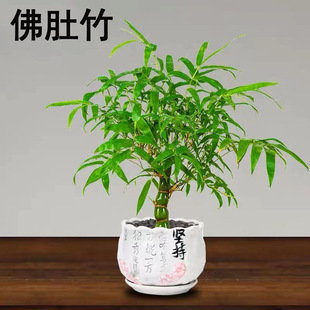 �_�h�����������Ϙ��҃ȿ͏dͥԺ�Gֲ�ļ����ఫ�������辰���B