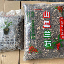 �S�ҬF؛ɽ���mʯʯ����Ƥ�Nֲ�m�����w�������mֲ��ֲ��ʯ�����m