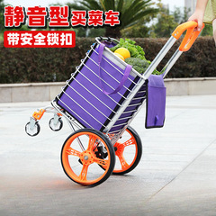 家庭用の野菜を買う車の小さい車は折り畳みして携帯のショッピングカートのポールの車の老人を引っ張ります。