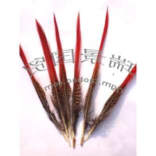�\�u�t����ë��DIY�����ȻҰ�uë����ë�Ʒ�^�������b�o��