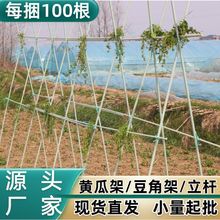 芸豆架杆月季支架玻璃纤维杆茄子支柱固定种植箱拱杆支撑杆植物棒