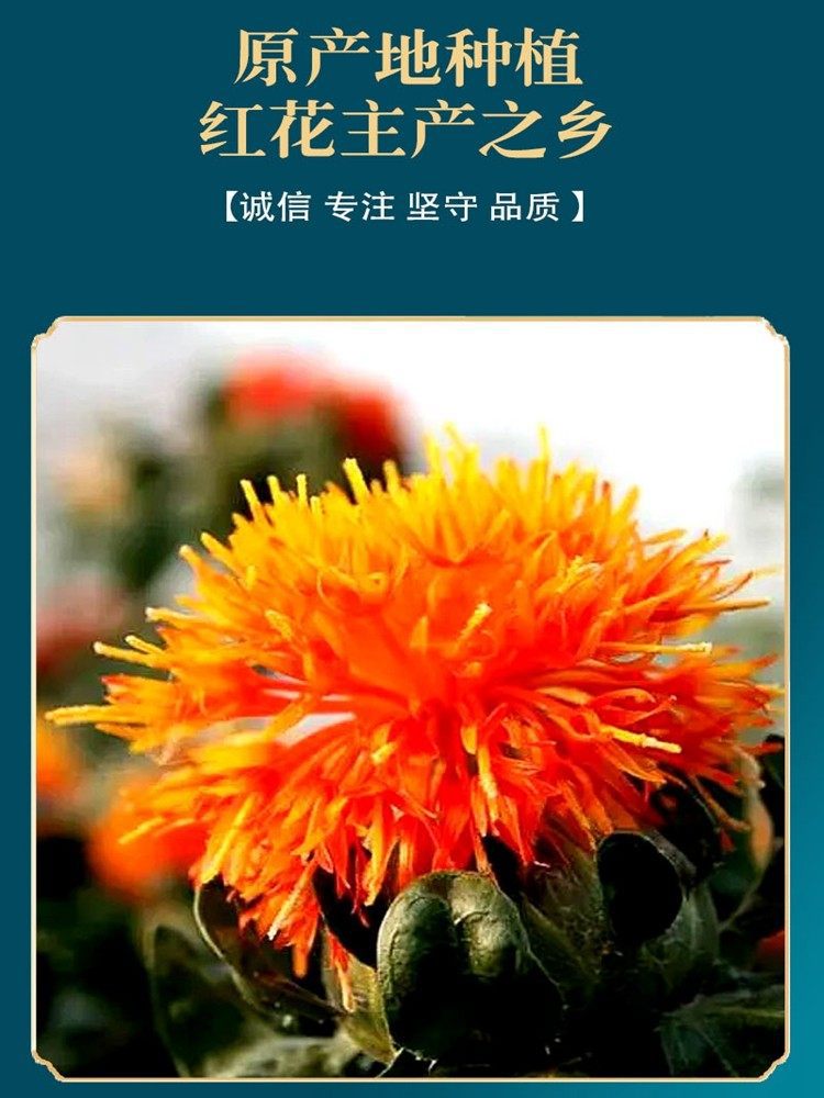 Dried Safflower Hong Hua 500g Premium Chinese Herbal Tea Grade Carthamus tinctorius Flowers overview