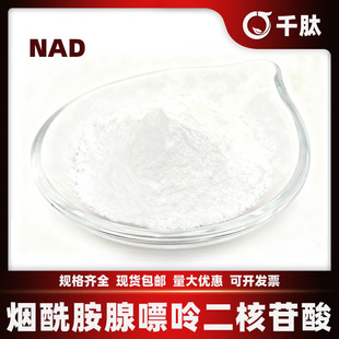 �����������ʶ������� NAD �oøI   Coenzyme �� �������oø��
