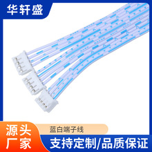 双头蓝白排端子线4P双头连接线PH2.0贴片端子线支持来图定 制