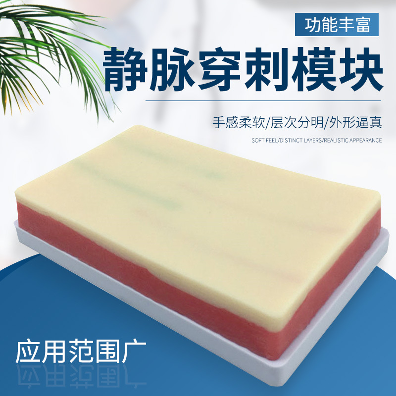 �๦��Ƥ������ע����ϰģ�� Ƥ��Ѫ�ܶ�����Һ ���⴩��ѵ��ģ��