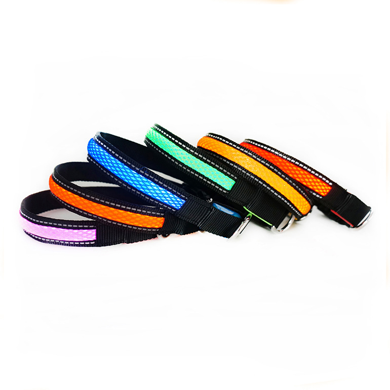 TZ-PET1600 LED Flashing Dog Co