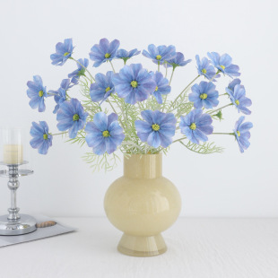 �ָ��zƬֲ�q��˹���r����ʾռٻ��Ҿӻ�c�b[���߼��з��滨