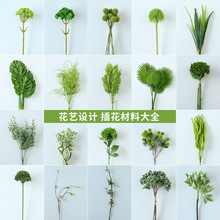 �Gɫ�廨diy���ϻ��Gֲ�~�������ˇ�b��߼ٻ��٘��~