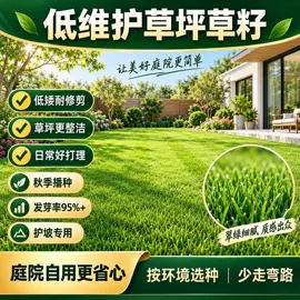盆栽;乔木;园林果树