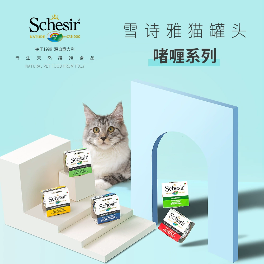 [Оптовый запрос] xueshiya Schesir China генеральный агент чистый натуральный консервированный гель для кошек серии