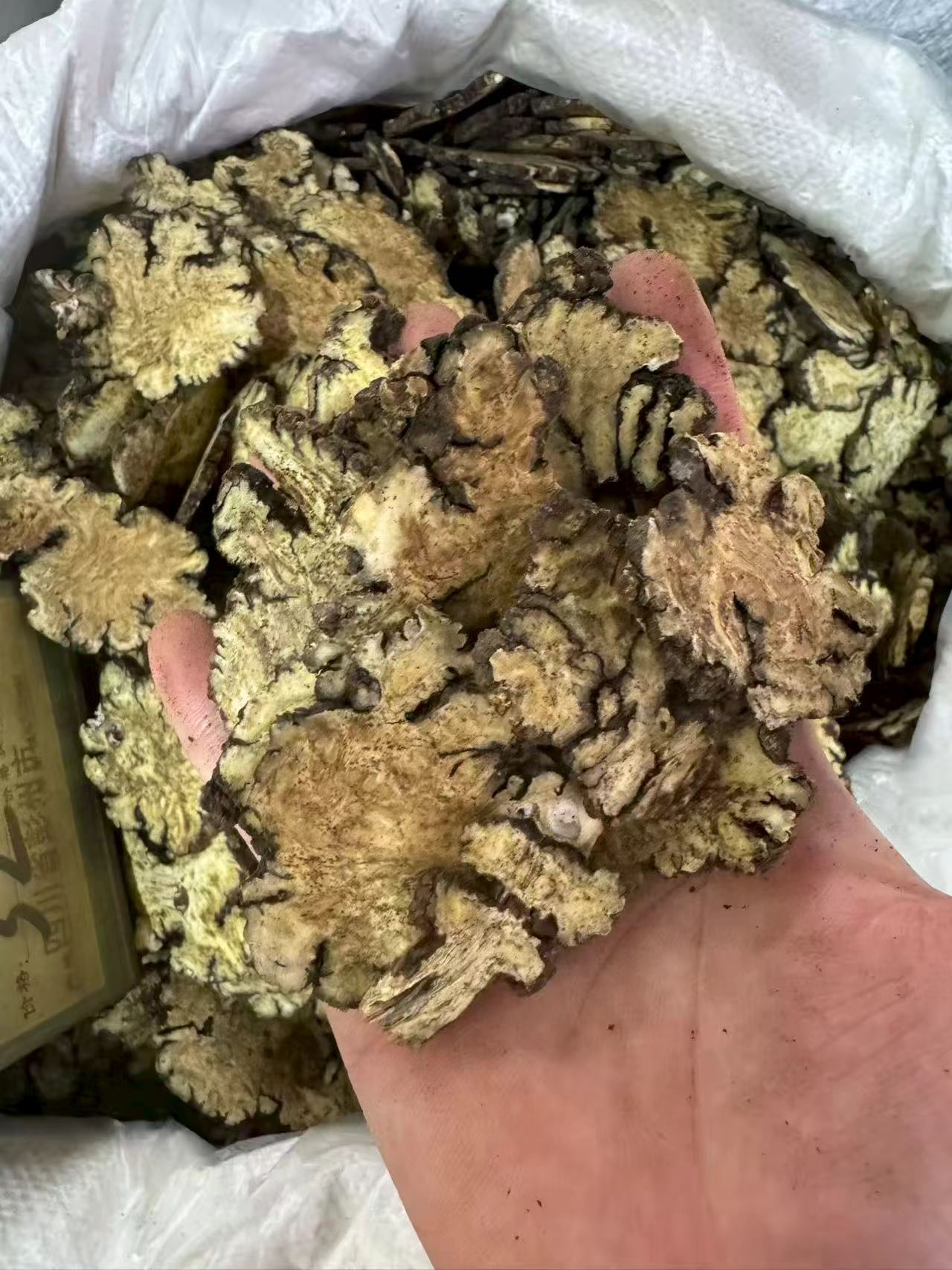 Chuan Xiong Sliced Sichuan Lovage Rhizome Dried Herb for Decoction and Culinary Use 1000g Bag preparation