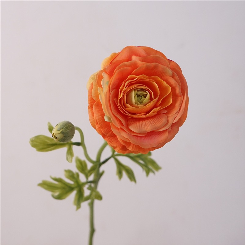 Hand-feeling 2-head lotus-orange