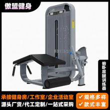 健身房系列产品单功能肌肉力量训练器械室内健身器材综合训练器