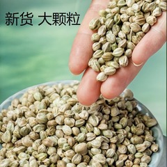 麻の実鳥の餌紙殻麻の実大粒牡丹オウムの餌ご褒美スナック油紙皮麻の実ハトの餌鳥の餌