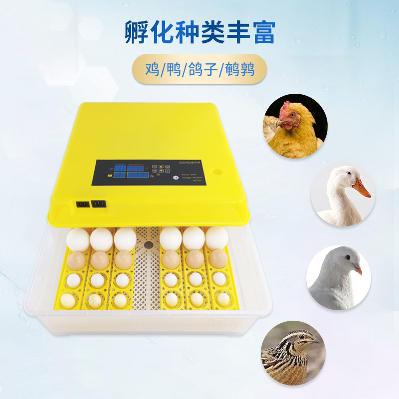 Amazon transfronterizo 48 pequeña incubadora mini hogar incubadora de huevos incubadora inteligente automática de giro de huevos