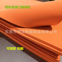 55�ȳ�ɫ���揗�| �ߏ����z���މ|�������|�ɴ����z�F؛��Ȱ��]