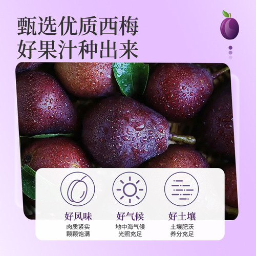 Prune Drink Probiotic Fiber Fruit Meal Lifesaver Concentrated Fruit and Vegetable Juice Pulp Puhpuh Smooth Prune Beverage