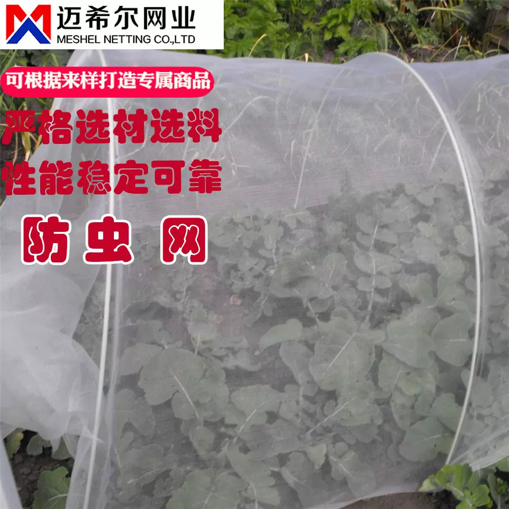 高密度防虫网 温室大棚防护网 耐晒老化 园艺花卉防虫网