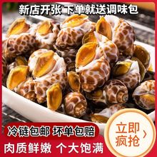 花螺鲜活冷冻新鲜海鲜螺类海螺香螺东风螺贝类大猫眼螺冰冻花螺